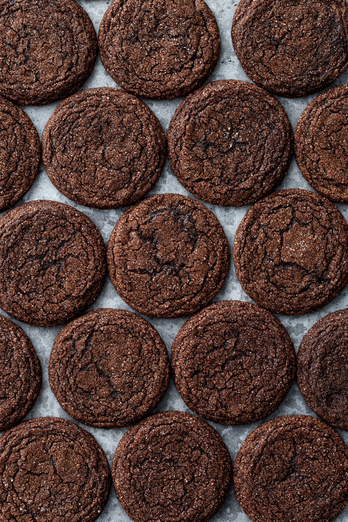 Overhead, rows of Chewy Chocolate Molasses Cookies, showing the crinkley, sugar-crusted tops on a gray background.