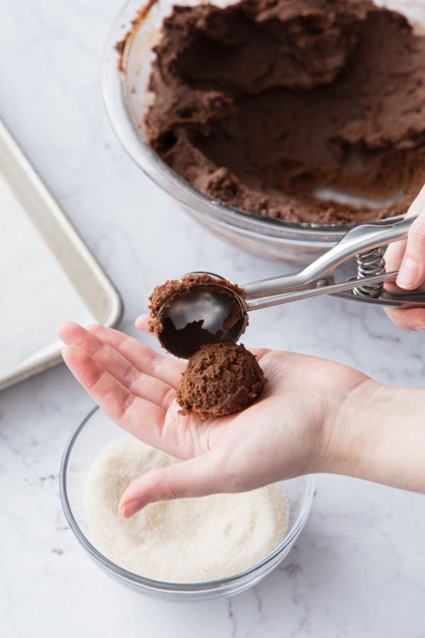 Medium cookie scoop releasing a perfectly portioned ball of dough ready to roll.