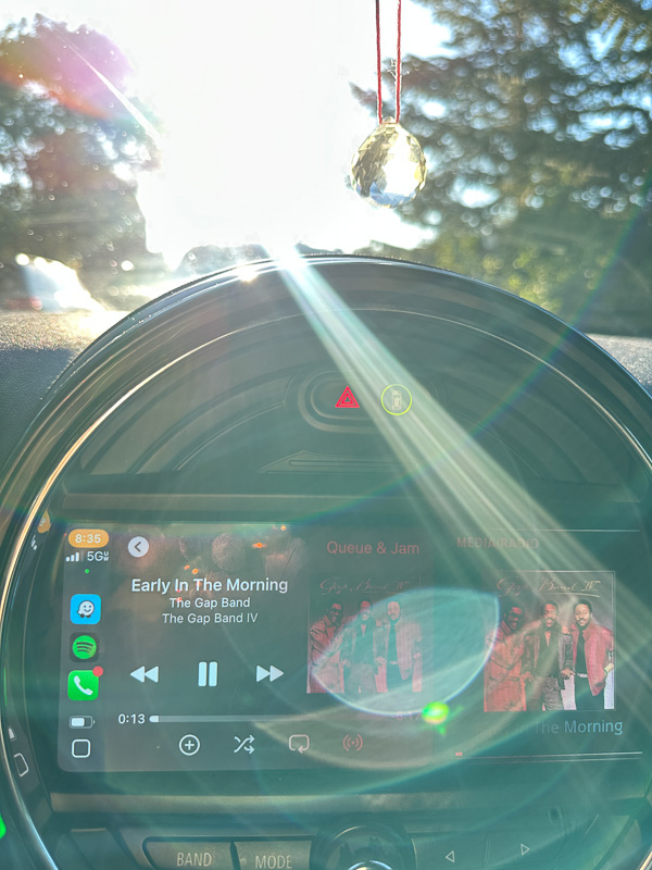 My Everyday Life Week 43 of 2025- Tracy Benjamin of Shutterbean.com