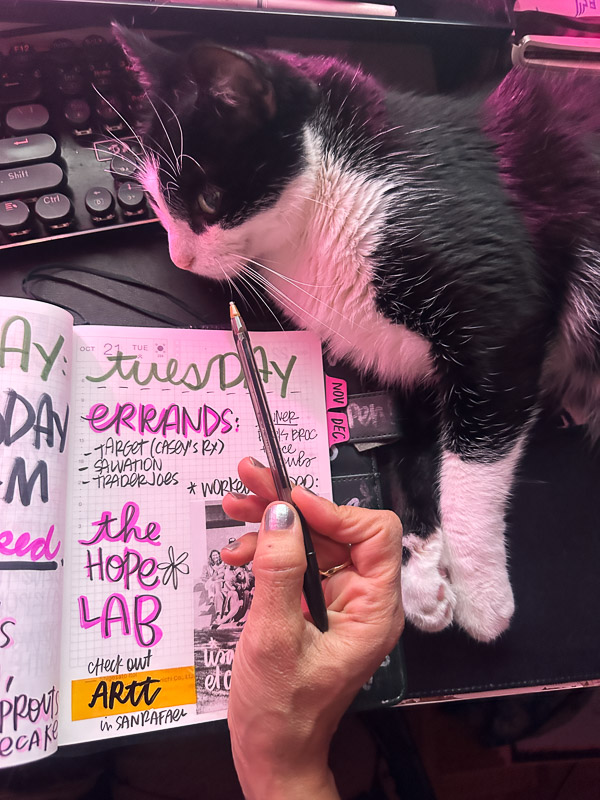 My Everyday Life Week 43 of 2025- Tracy Benjamin of Shutterbean.com