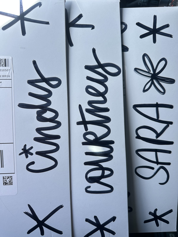 My Everyday Life Week 43 of 2025- Tracy Benjamin of Shutterbean.com