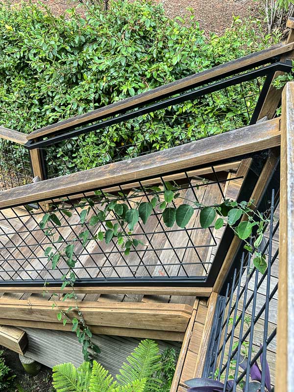 My Everyday Life Week 43 of 2025- Tracy Benjamin of Shutterbean.com