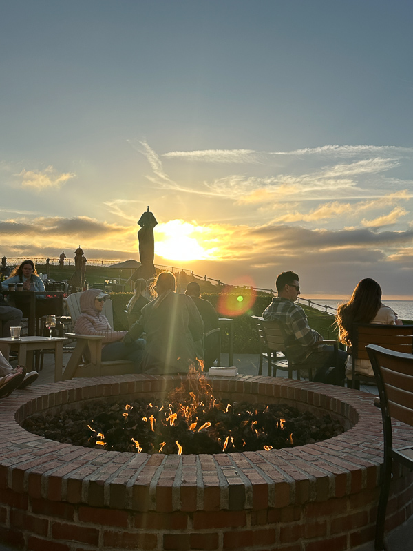 My Everyday Life Week 43 of 2025- Tracy Benjamin of Shutterbean.com