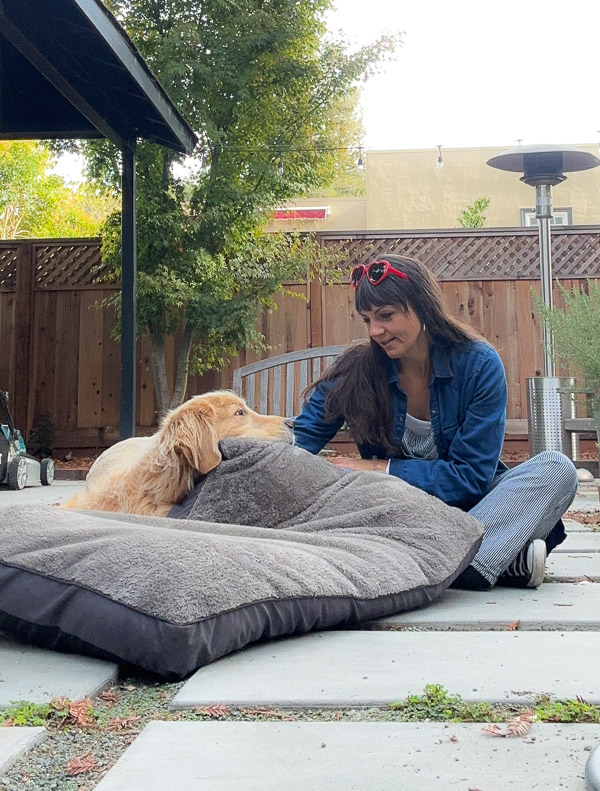 My Everyday Life Week 43 of 2025- Tracy Benjamin of Shutterbean.com