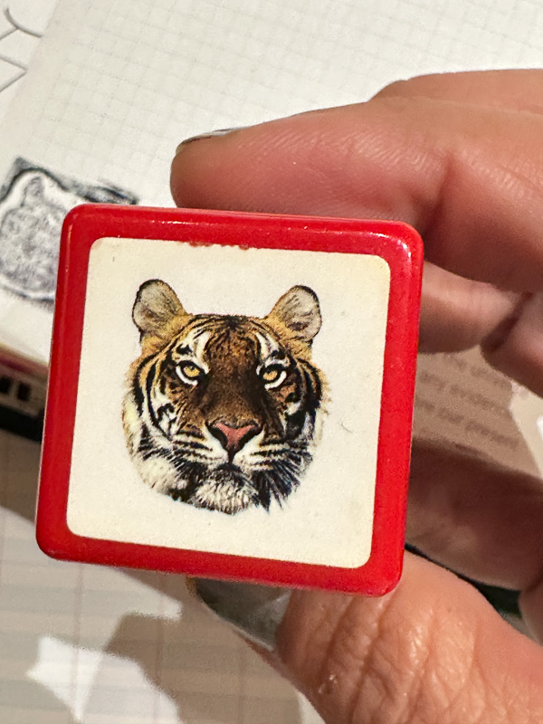 My Everyday Life Week 43 of 2025- Tracy Benjamin of Shutterbean.com