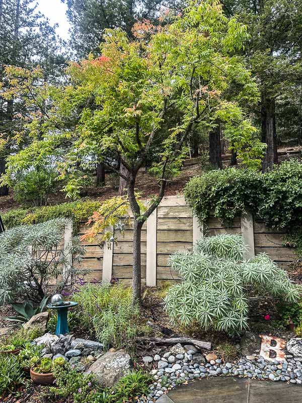 My Everyday Life Week 43 of 2025- Tracy Benjamin of Shutterbean.com