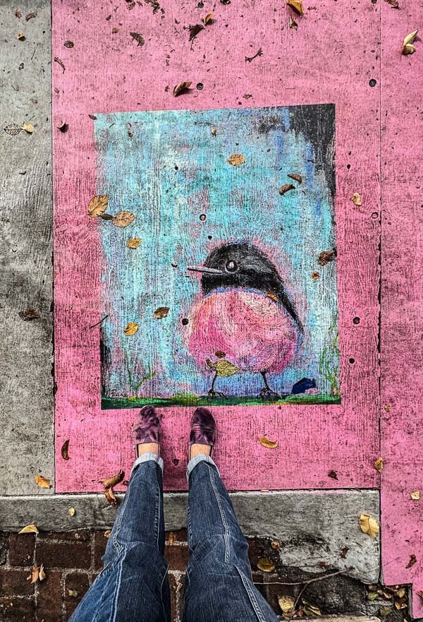 My Everyday Life Week 43 of 2025- Tracy Benjamin of Shutterbean.com