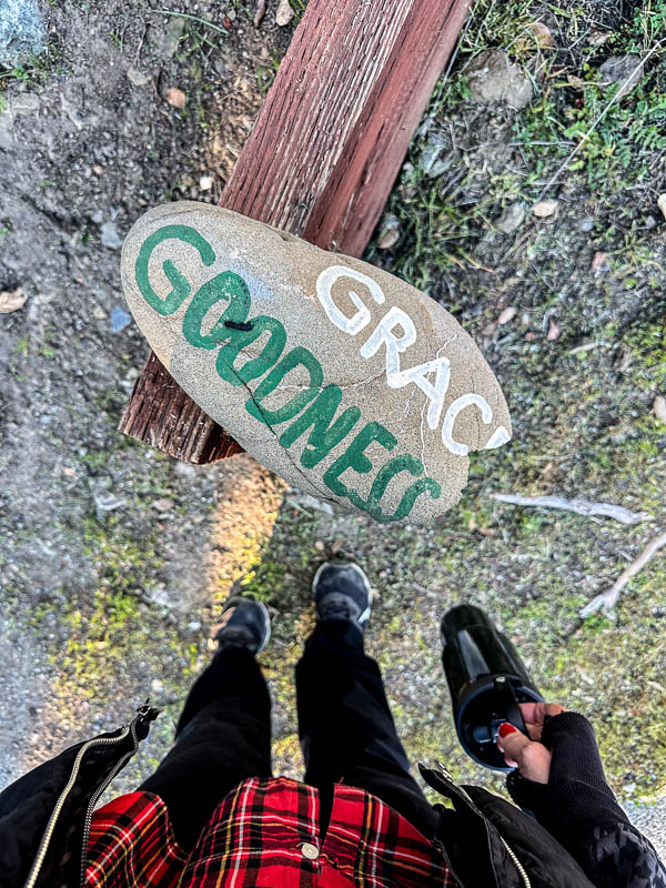 My Everyday Life Week 04 of 2026- Tracy Benjamin of Shutterbean.com