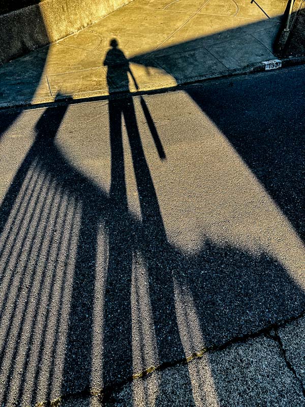 My Everyday Life Week 04 of 2026- Tracy Benjamin of Shutterbean.com